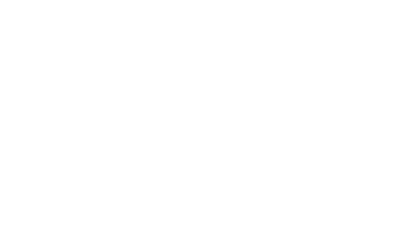 Nielsen Group